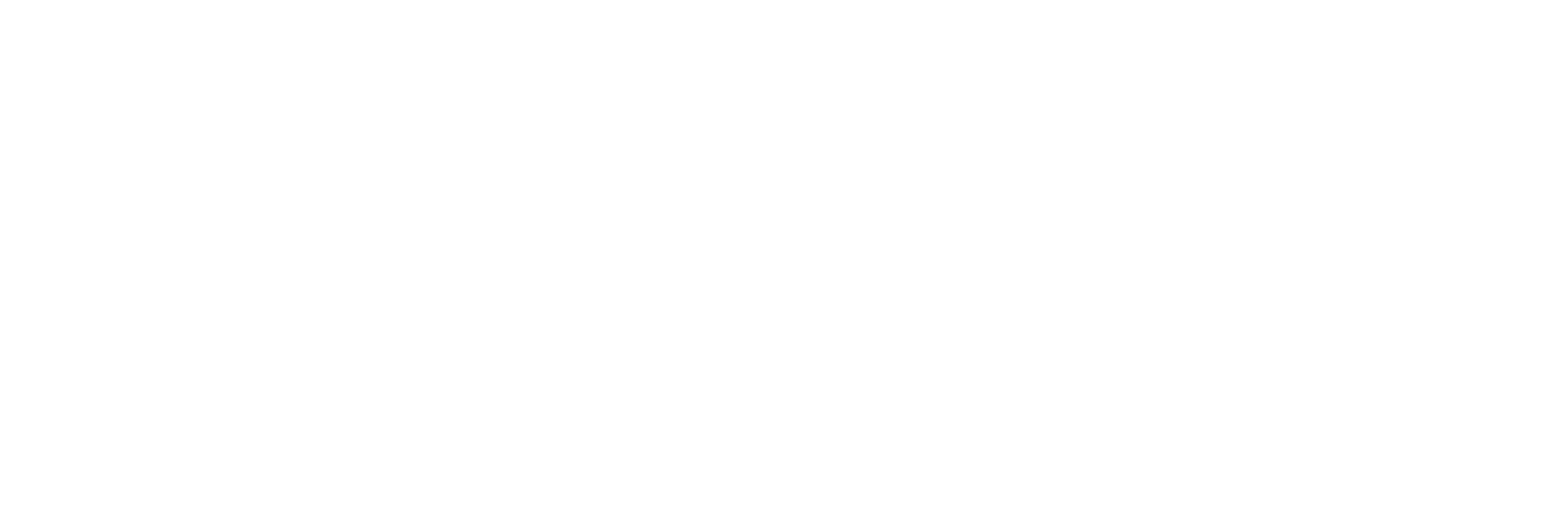 StaSio Logo Dark